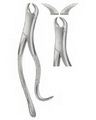 Extracting Forceps American pattern 