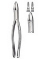 Extracting Forceps American pattern 