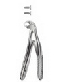 Tooth Forceps for Children 