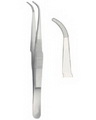 Dissecting, Dressing Forceps 