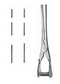 Forceps