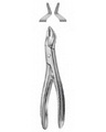 Tooth Forceps for Children 