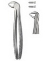 Tooth Forceps for Children 