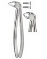 Extracting Forceps American pattern 