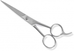 Professional Thinning Scissors 